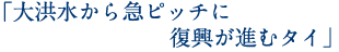 「大洪水から急ピッチに復興が進むタイ」