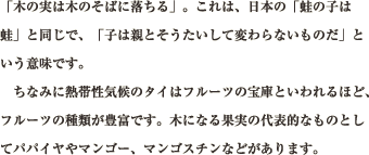 「木の実は木のそばに落ちる」。これは、日本の「蛙の子は蛙」と同じで、「子は親とそうたいして変わらないものだ」という意味です。ちなみに熱帯性気候のタイはフルーツの宝庫といわれるほど、フルーツの種類が豊富です。木になる果実の代表的なものとしてパパイヤやマンゴー、マンゴスチンなどがあります。