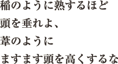 稲のように熟するほど頭を垂れよ、葦のようにますます頭を高くするな