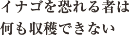 イナゴを恐れる者は何も収穫できない