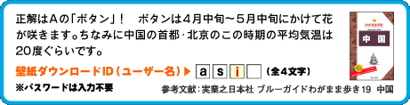 正解はAの「ボタン」！　ボタンは4月中旬〜5月中旬にかけて花が咲きます。ちなみに中国の首都・北京のこの時期の平均気温は20度ぐらいです。壁紙ダウンロードID（ユーザー名）：3文字目は　i （全4文字）