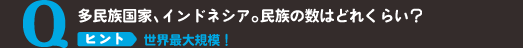 多民族国家、インドネシア。民族の数はどれくらい？ヒント 世界最大規模！