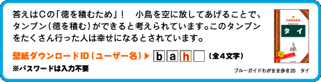 答えはCの「徳を積むため」！　小鳥を空に放してあげることで、タンブン（徳を積む）ができると考えられています。このタンブンをたくさん行った人は幸せになるとされています。壁紙ダウンロードID（ユーザー名）：3文字目は　h （全4文字）