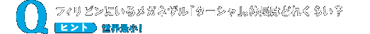 フィリピンにいるメガネザル「ターシャ」。体長はどれくらい?ヒント:世界最小!