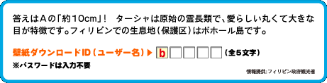 答えはAの「約10cm」!　ターシャは原始の霊長類で、愛らしい丸くて大きな目が特徴です。フィリピンでの生息地(保護区)はボホール島です。壁紙ダウンロードID（ユーザー名）：1文字目は　b （全4文字）情報提供:フィリピン政府観光省