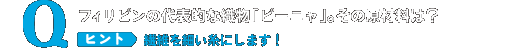 フィリピンの代表的な織物「ピーニャ」。その原材料は？ヒント：繊維を細い糸にします！