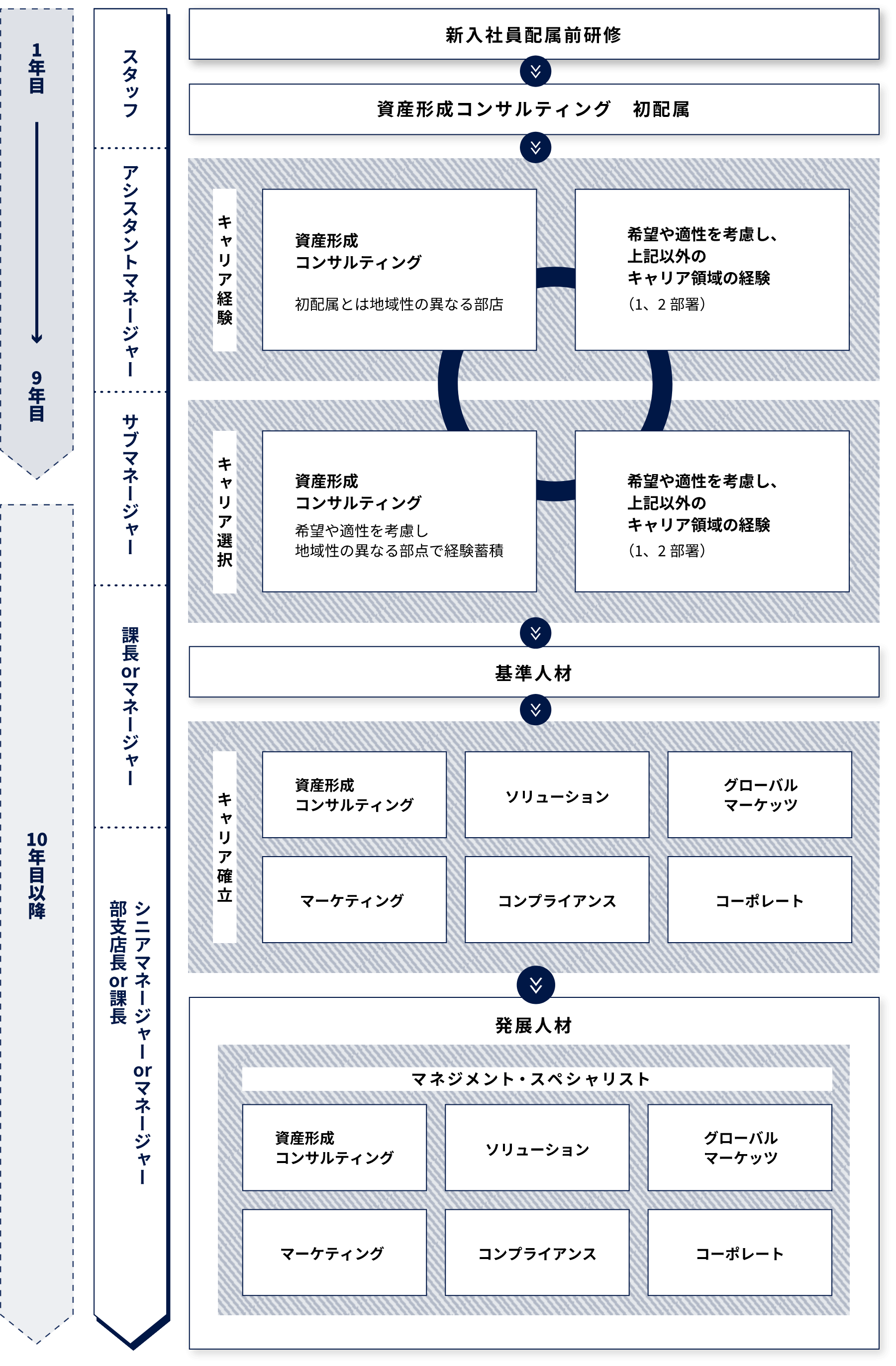 キャリアパスのイメージ図